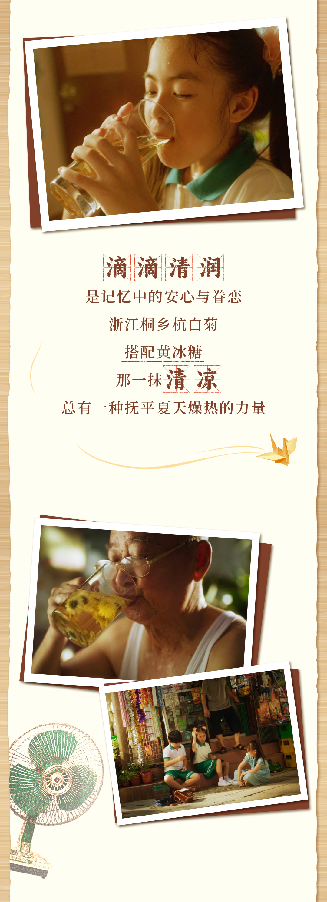 菊花茶长图2_03